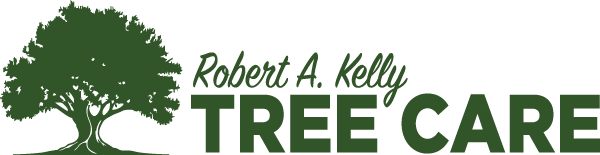 ISA Certified Arborists in Bayfield, WI - Robert Kelly Tree Care ...